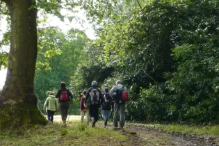 RANDO-PEDESTRE-49-FMA-photo1 - ©Office de Tourisme de l'Anjou bleu