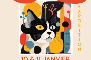 Artiste du Loir affiche 2026 - Mairie Seiches