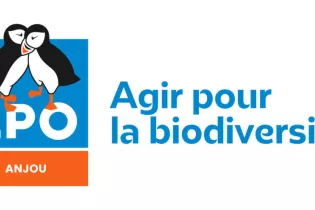 RVB_LPO_LOGOTYPE_ANJOU_SIGNATURE_DROITE - lpoanjou