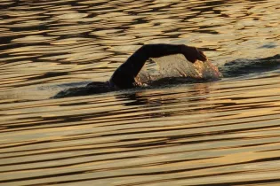 swimmer-3951545_1280 - Image par modritsch de Pixabay