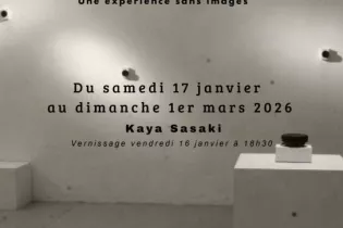 Sound_in_Vivo-49-FMA-photo - ©Atelier Legault