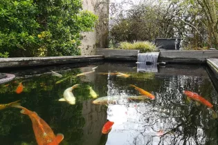 Ferme aquacole d'Anjou - Ferme Aquacole d'Anjou