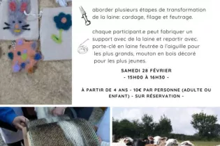 Atelier laine fév 2026 - Le Bourg-d'Iré - 49 - FMA - ©Ferme aux 5 Chemins