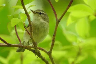 RDV Nature 24042026 - jagdi