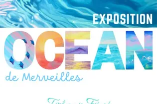 Océan_de_Merveilles -49-FMA-photo1 - ©Atelier Legault