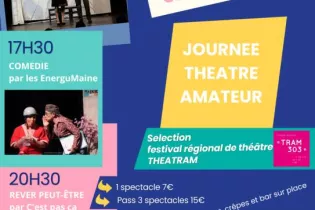 Affiche theatram  - Les trublions de Jarzé