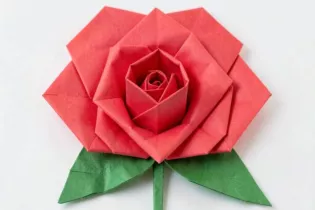 Atelier_manuel_rose_origami-49-FMA-photo1 - ©Pixabay