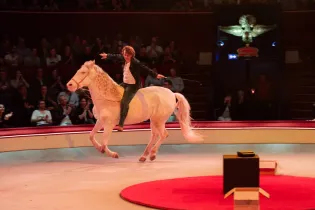 fa26-sexe_grog_et_rocking_chair - Louis Josse JMD PRODUCTION