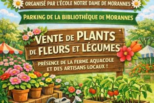 marché printemps morannes - APE Les Biblutins