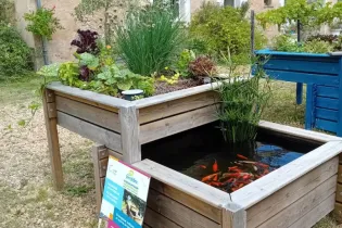 Atelier initiation Aquaponie 052026 - Ferme Aquacole Morannes