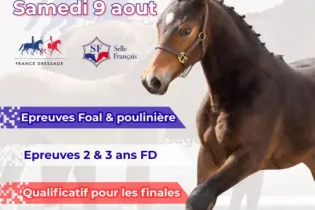 Affiche - Concours 2026 - France Dressage x SF - Haras des Fenucy