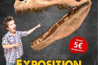 Exposition Dinosaures-FMA-49 -  © BASTO EVENTS