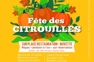 citrouilles 2025 - Les Jardins des Renaudies