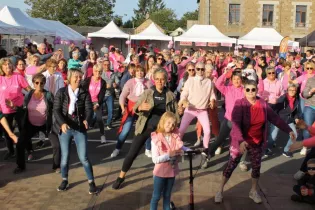 Gorron Rose 2023 - Ville de Gorron