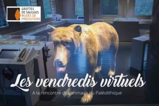 LES VENDREDIS VIRTUELS - 2 - communauté de communes des coëvrons
