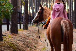 Charming little girl dressed like a princess rides a horse around the autumn forest - HODYREVA.COM
