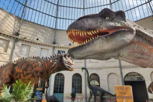 Expo Découverte "l'Histoire des Dinosaures" à Andouillé - Exposition Découverte 