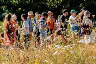 spectacle surprise le 6 aout 2025 - L'Arbre Bavard
