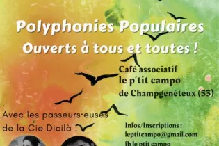 Stage de chants du monde - MR