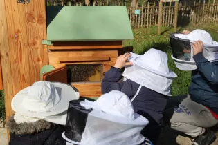 Les Abeilles Mayennaises - Les Abeilles Mayennaises