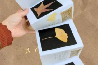 Herbier Leporello - Le Reflet