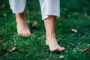 Sortie pieds nus - canva
