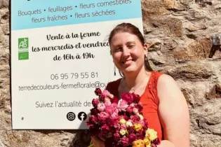 Terre de Couleurs - Terre de Couleurs