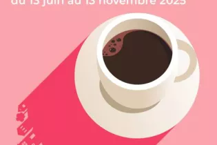 Affiche Les insolites générale - Compagnie Oh!