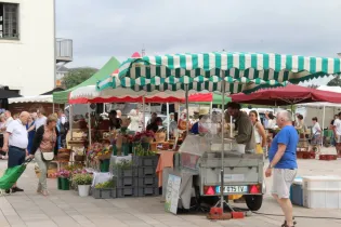 Marché Laval 082024 - 10  - © Pauline Collet-Gastinel