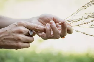 crédits photo sont de Simon Gosselin - Simon Gosselin