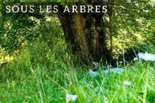 lieder schubert - ©Linières