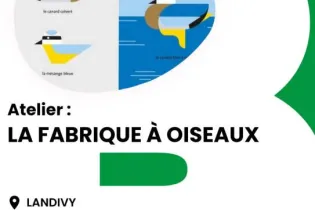 Affiche atelier la fabrique à oiseaux - Réseau Lecture 