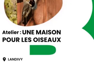 Affiche atelier une maison pour les oiseaux - Réseau Lecture