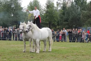 fête percheron - Cédric Lebreton