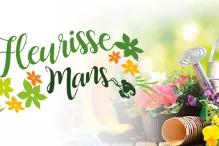 825x400PX_AGENDA_SITE - VDM