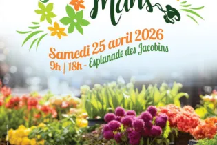 AFFICHE-WEB_Fleurissement_2026 - VDM