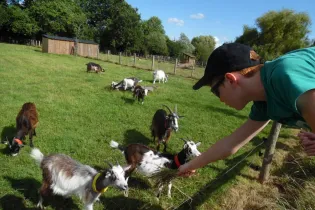 balade ferme - arche de la nature