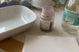 Décor sur porcelaine - L.Bonneville