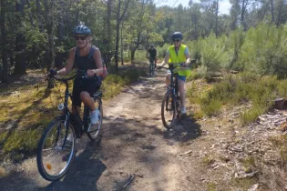 VTC foret - B. Griffaton