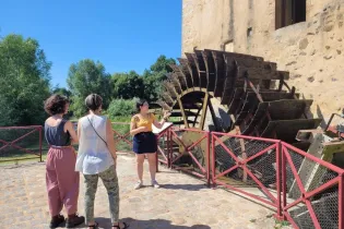 Visite Moulin (Medium) - Ile MoulinSart