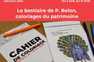 Le carnet de coloriage "le bestiaire de pierre belon", coloriages du patrimoine - Ville du Mans