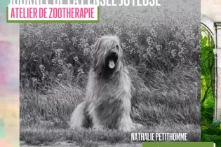 Atelier médiation animale - 1 - ©SNQE