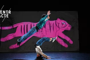 14 - Je suis tigre © Marc Ginot - © Marc Ginot