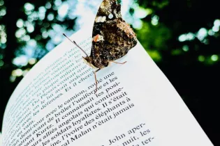 Sound of paper - @T'atrium