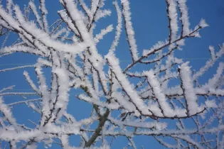 Installation sonore - @Béatrice Rocheteau