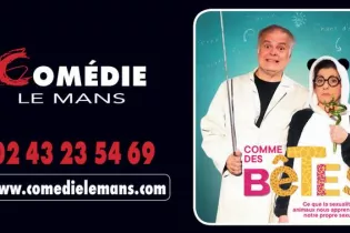 Capture d’écran 2025-12-25 à 15.41.02 - COMEDIE