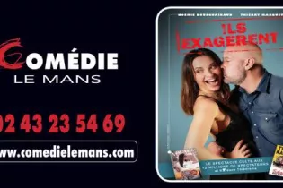 Capture d’écran 2026-01-14 à 17.24.09 - comedielemans