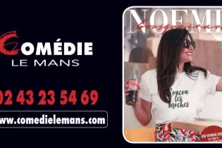 Capture d’écran 2026-01-14 à 17.55.39 - comedielemans