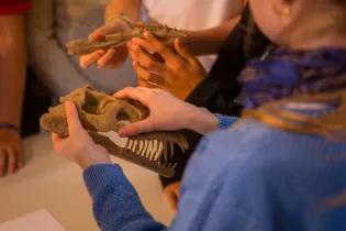 Ateliers Dinosaures - © Ville du Mans