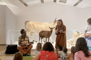 CP - Fais pas ci Fais pas ça - © Ville du Mans